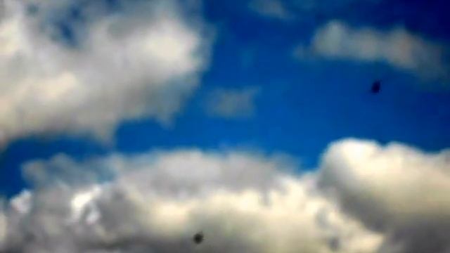 СОКОЛЫ в Иваново смотреть онлайн