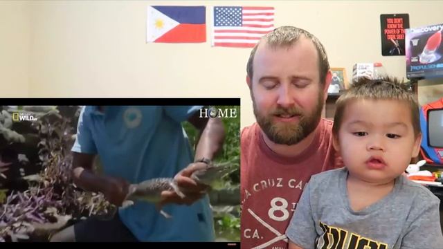 Philippines Documentary Untamed Philippines REACTION! смотреть онлайн