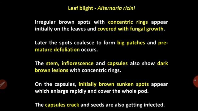 Diseases Of Castor - PAT 301