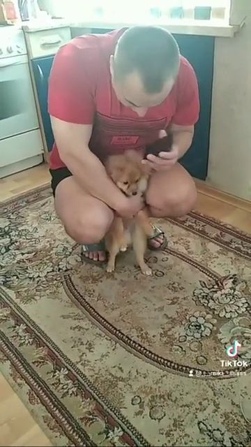 как зарядить телефон без зарядки и розетки . Только нужен шпиц. смотреть онлайн