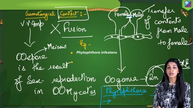 Kingdom Fungi - II Class 11 Biology (Concepts) - Biological Classification (L7) | NEET 2024 Exam