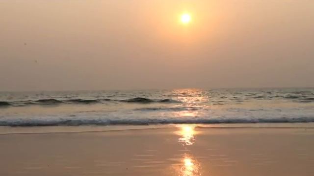 Индия ГОА путешествие 2014год. Местный колорит, красивая природа.