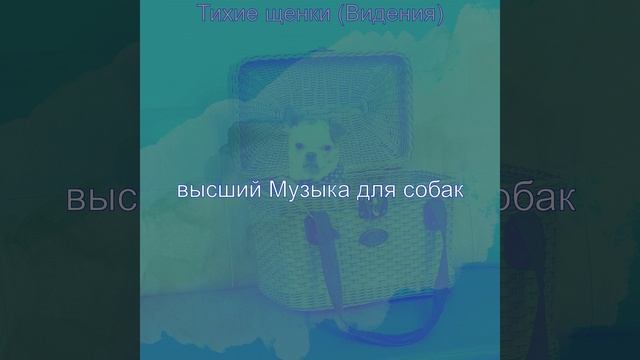 Моменты (Выгул собак) смотреть онлайн
