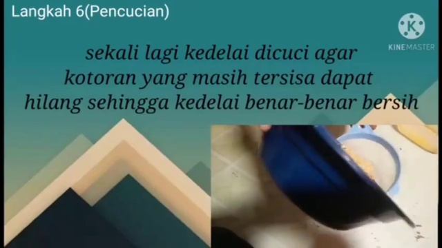 Bioktenologi Pembuatan Tempe Dibuat Oleh Fadila Kls XII MIPA 3 SMAN 8 MANDAU смотреть онлайн