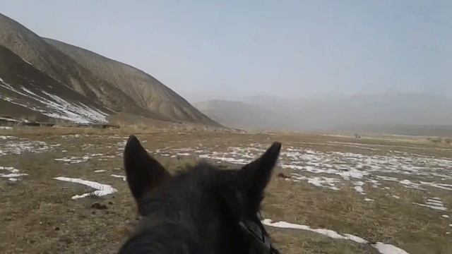 Верхом на лошади смотреть онлайн
