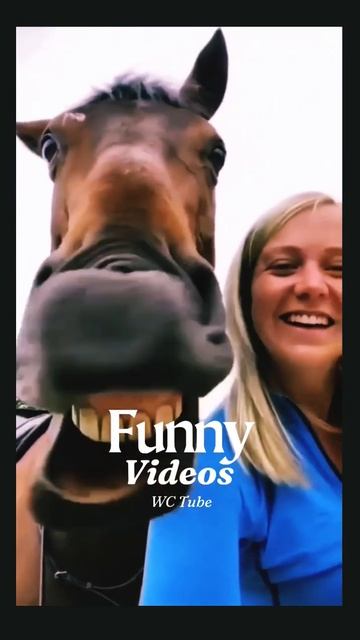 donkey funny #youtubeshorts #video 😂🤣😂 смотреть онлайн