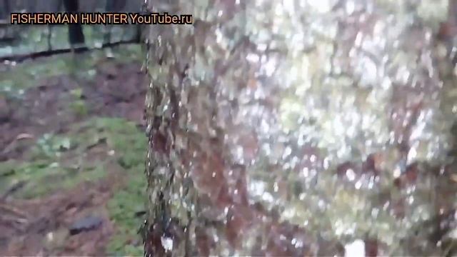 Просто посмотри и поставь колокольчик поставиш напиши что поставил и я поставлю,всем добра 50 лайко смотреть онлайн