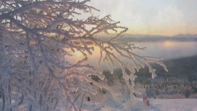 Белла Ахмадулина. Зима. Читает Саша Белкина смотреть онлайн