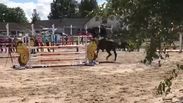 Locri 23.6.18 Vao смотреть онлайн