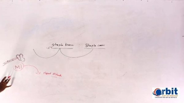 Revision plus2 zoology microbes part1 HD