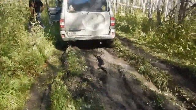 за грибами 2015 смотреть онлайн