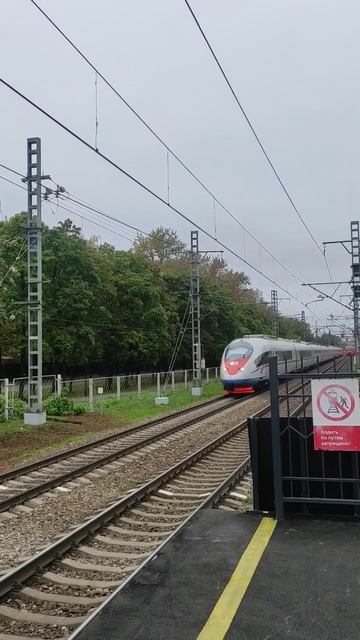ЭВС1-07 "Сапсан" с сообщением Санкт-Петербург-Москва на станции Останкино #ржд #жд #эвс1 #shorts смотреть онлайн