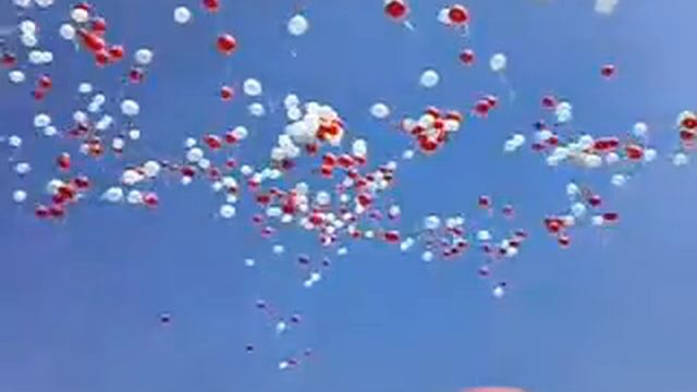 Chariki смотреть онлайн