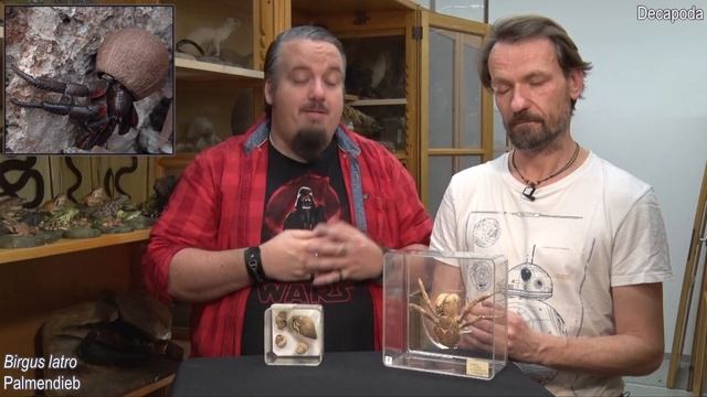 Zoologie - Crustacea II (Malacostraca - Präparate) смотреть онлайн