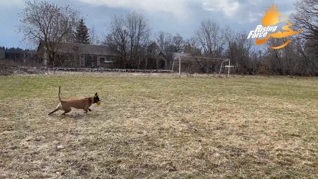 Rising Force смотреть онлайн