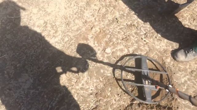 Лесные Копатели 