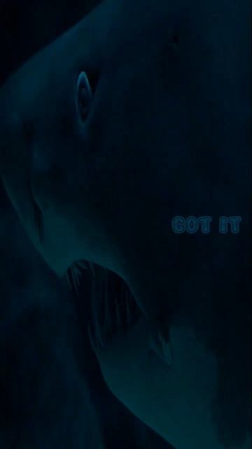 Myth Busted: Why Whale Sharks Are Sharks, Not Whales #shark #shorts #interestingfacts #viral #facts смотреть онлайн