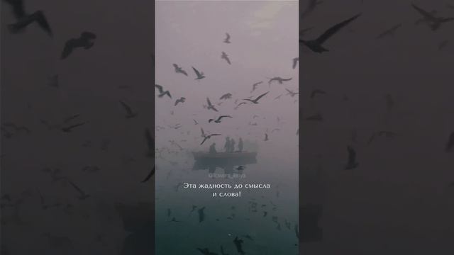 Я НЕ СТАНУ ТВОИМ ПОСЛЕСЛОВЬЕМ | Стих смотреть онлайн