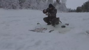 Бешеный клев крупных язей видео с архива