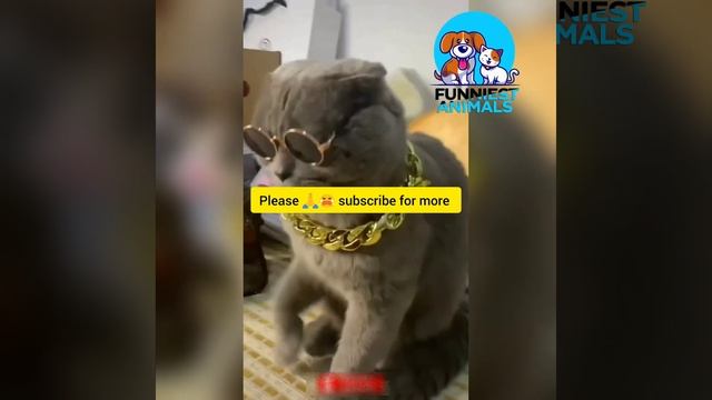 How ladies Acts after Break up!! смотреть онлайн