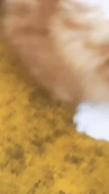 18 июля 2024 г. смотреть онлайн