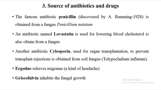 Economic Importance Of Fungi