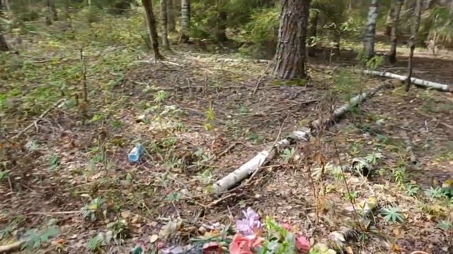 ДЮКИНСКИЙ КАРЬЕР. ЗАЕХАЛИ ЗА ГРИБАМИ. #КАРЬЕР #ЗАГРИБАМИ #ГРИБЫ2023 #ТИХАЯ_ОХОТА