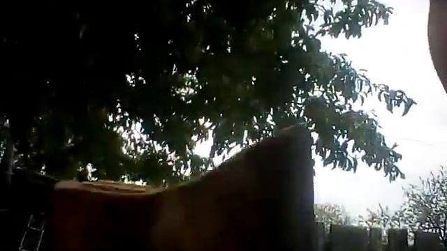 Моя собственная компания смотреть онлайн