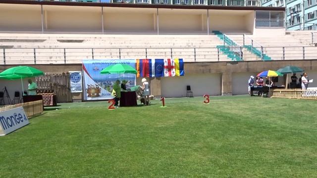 Armenia Yerevan 🇦🇲 ADLA-FCI CAC CACIB Expert Ramune Kazlauskaite Handler Hrach Manukyan J.CAC BOS смотреть онлайн