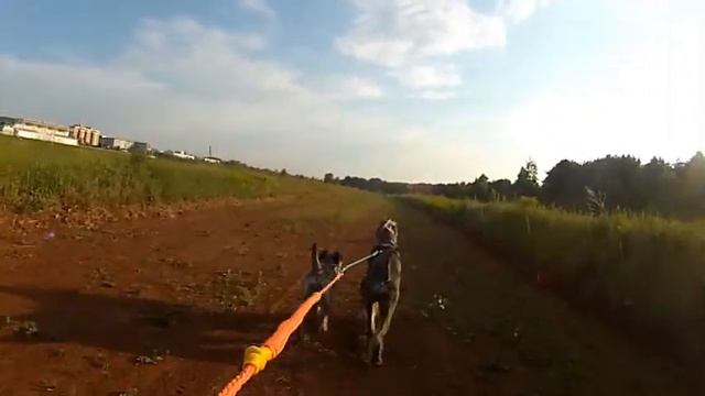Еду на велосипеде) смотреть онлайн