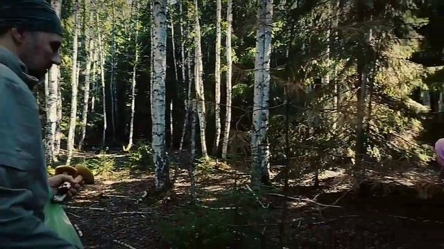 2022 - наконец-то урожайный год на белые грибы!!! смотреть онлайн