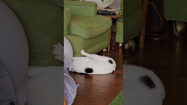 Doug Meets Chair Troll смотреть онлайн