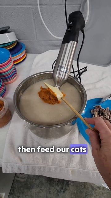 Easy DIY Cat Food Recipe #windyhillpets #catfood #pets смотреть онлайн