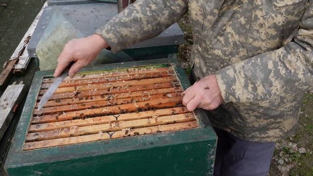 первый осмотр пчел в сезоне 2025 смотреть онлайн