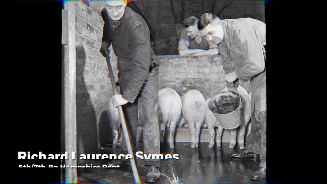 Why did armies have pets? смотреть онлайн