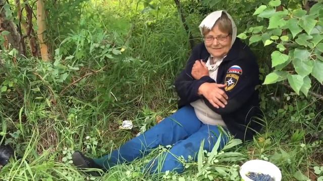 На Камчатке спасатели и добровольцы совместными усилиями нашли пенсионерку, заблудившуюся в лесу смотреть онлайн
