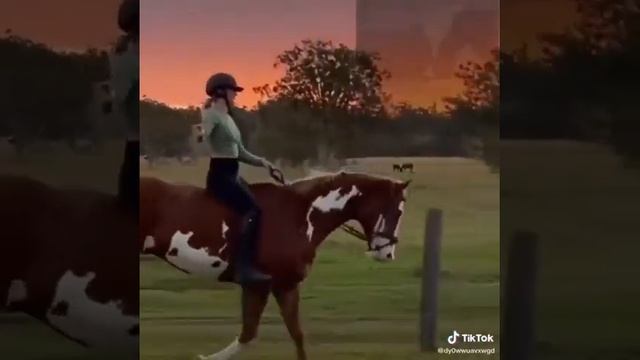 ЛОШАДИ ЭТО ЧУДО ! САМОЕ МИЛОЕ ВИДЕО смотреть онлайн