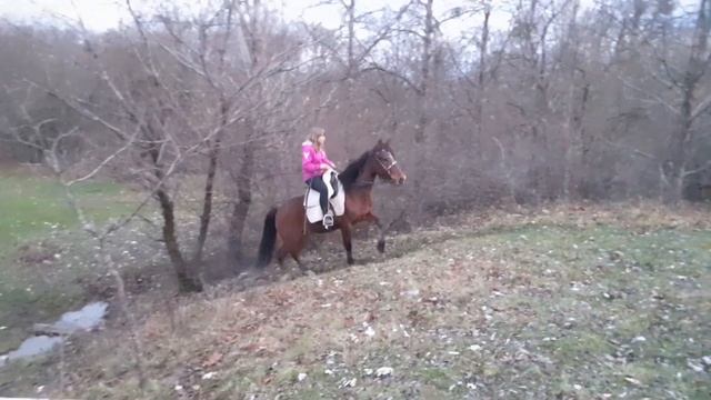 26 ноября 2023 г. смотреть онлайн