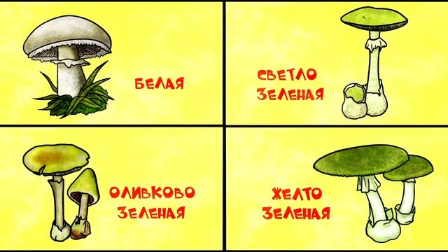22  Почему грибы бывают ядовитыми  HD Merci