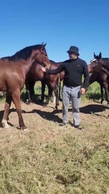 Ростов на Дону смотреть онлайн