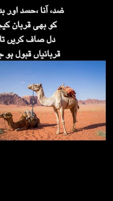 Quotes #quotes #shorts #viralshorts смотреть онлайн