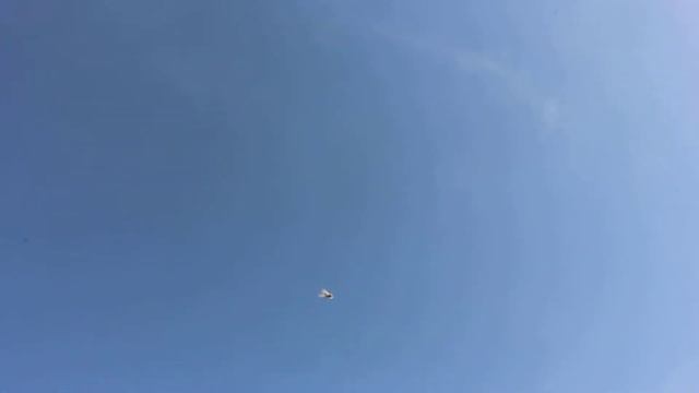 Еще один бусый старается тоже. 23.03.2015 года. смотреть онлайн