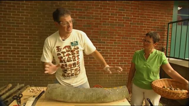 Shiitake Mushroom Production | Volunteer Gardener смотреть онлайн