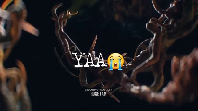 Origen Del Cordyceps En The Last Of Us   La Serie|HBO MAX|