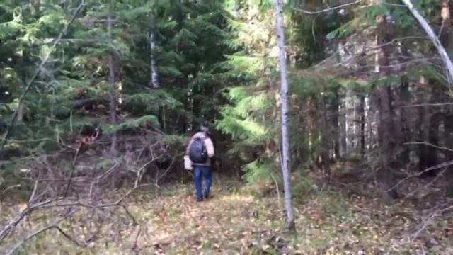 опята -2020 смотреть онлайн