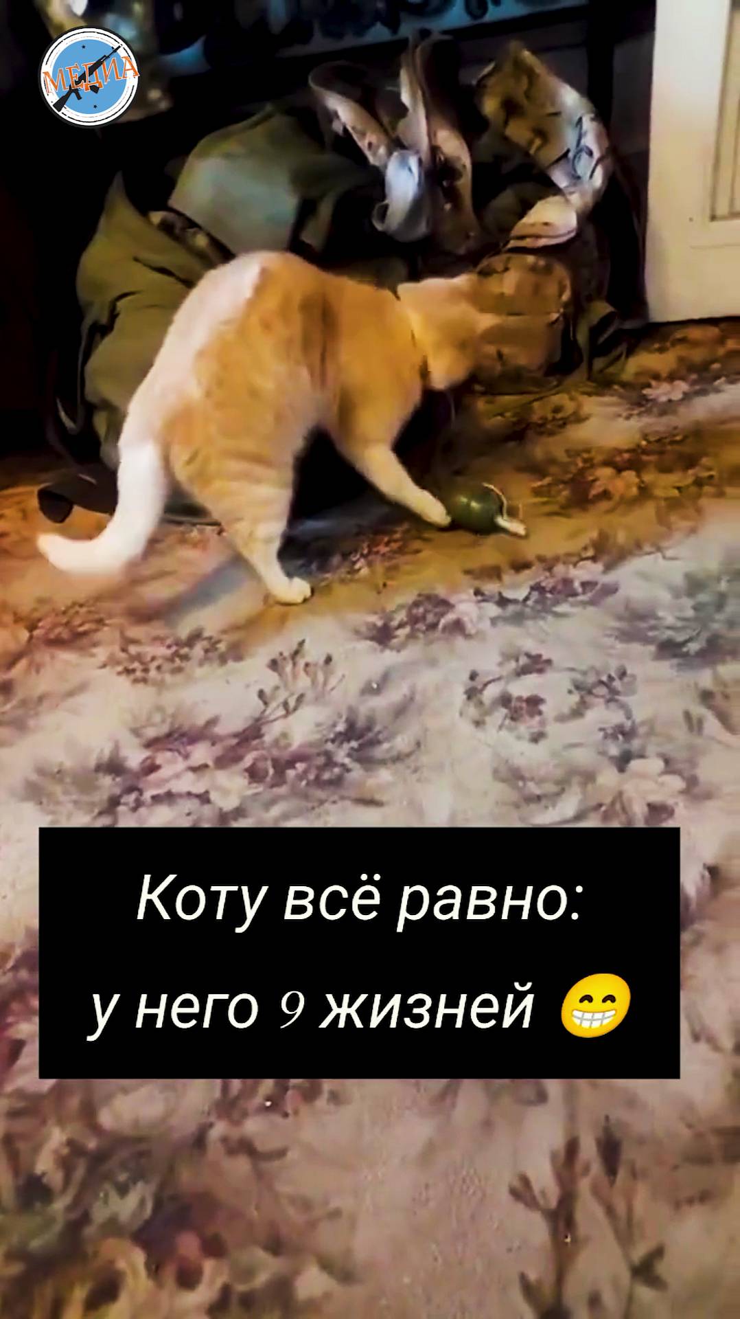 СВО Кот тренируется перед выходом на задачу