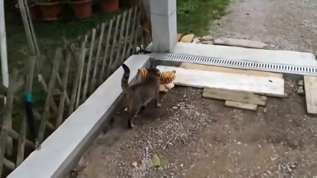 Воришка мягких игрушек смотреть онлайн