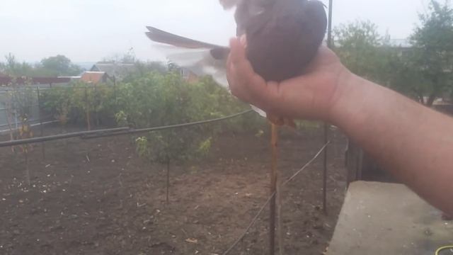 Обзор моих красных для Андрея