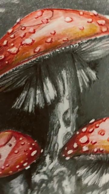 Mushrooms Drawing - Colored Pencil Art смотреть онлайн