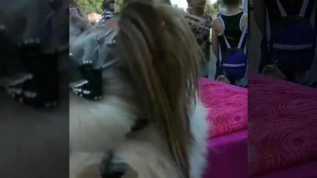 Бивер Йорк вязка Одесса. смотреть онлайн